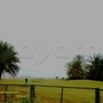 Terrain pour construction d&rsquo;une villa au Golf Palm Links