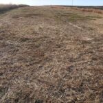 Photo-1 : Terrain agricole