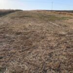 Photo-2 : Terrain agricole