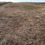 Photo-3 : Terrain agricole
