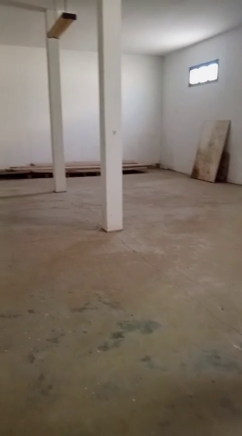 Image 406939