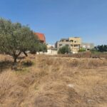 Terrain Industriel de 787 m² à Dar Chaâben – Emplacement Stratégique