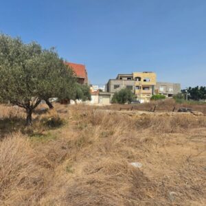 Terrain Industriel de 787 m² à Dar Chaâben – Emplacement Stratégique