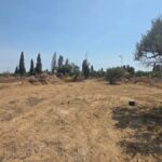 Photo-2 : Terrain Industriel de 787 m² à Dar Chaâben – Emplacement Stratégique
