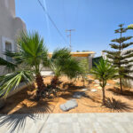 Photo-16 : Villa meublée à Ghizen Djerba