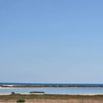 TERRAIN EXCEPTIONNEL AVEC VUE MER ET FLAMANTS ROSES à KORBA