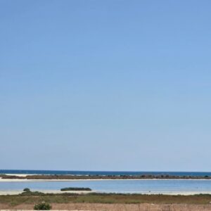 TERRAIN EXCEPTIONNEL AVEC VUE MER ET FLAMANTS ROSES à KORBA