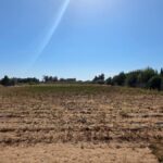 Photo-10 : DÉPÔT ET TERRAIN de 10843m² à TAZARKA