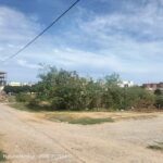 Photo-1 : DES TERRAINS DE 180 À 500 m² à NABEUL