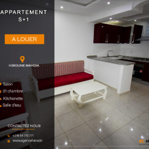 Studio S+1 à Hiboune Mahdia