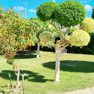 MAGNIFIQUE REZ-DE-CHAUSSÉE DE VILLA MEUBLÉ à CHAT MERRIEM