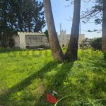 Photo-14 : Villa sur 3 niveaux au Manar 1