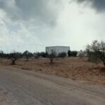 Terrain agricole à Djerba