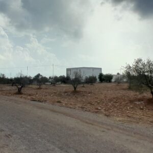 Terrain agricole à Djerba