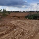 Photo-4 : Terrain agricole à Djerba
