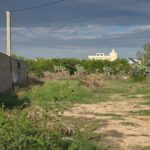 Photo-3 : Terrain Constructible de 375 m² à Béni Khiar