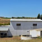Photo-9 : Maison d&rsquo;Hôte 1 Hectare – Korba (Bir Drassen)