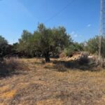 Photo-1 : Terrain de 546 m² à Dagdoug, Nabeul