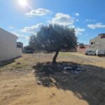 Photo-1 : Terrain de 170m² à Dagdoug Nabeul